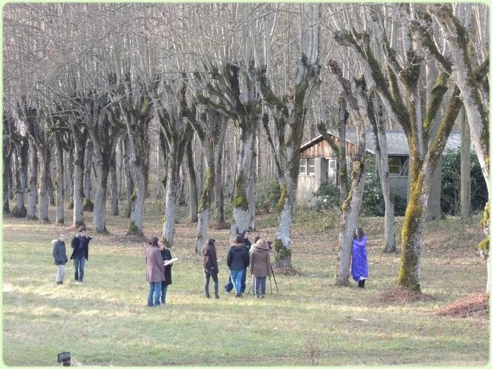 Accueil groupe scolaire cinéma