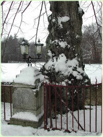 Le parc du château